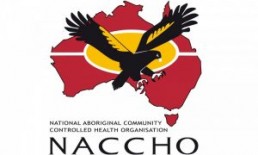 NACCHO logo